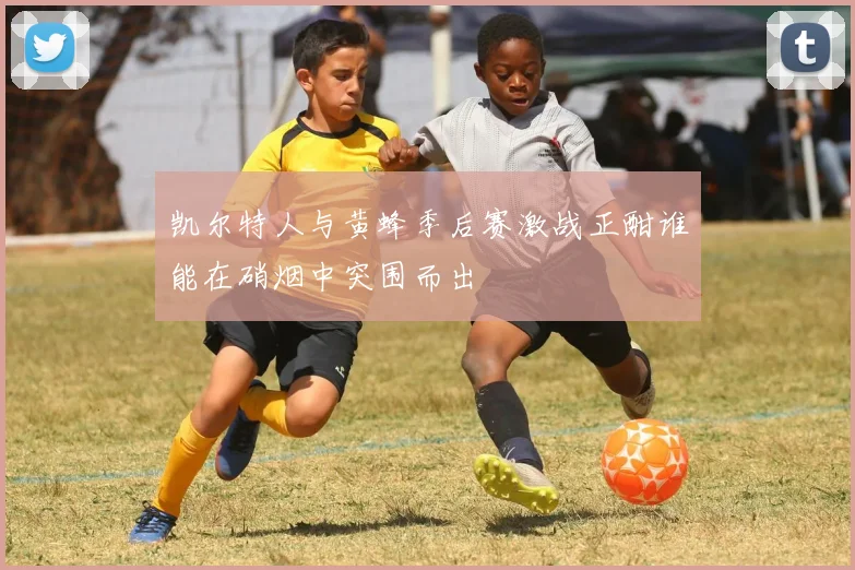 凯尔特人与黄蜂季后赛激战正酣谁能在硝烟中突围而出