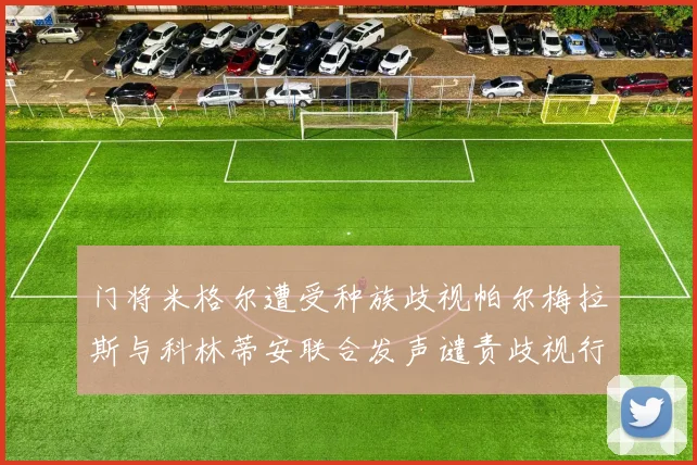 门将米格尔遭受种族歧视帕尔梅拉斯与科林蒂安联合发声谴责歧视行为
